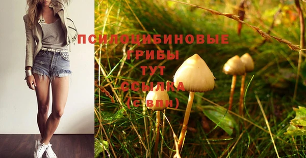 бошки Анива