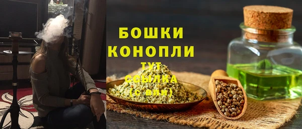 бошки Анива