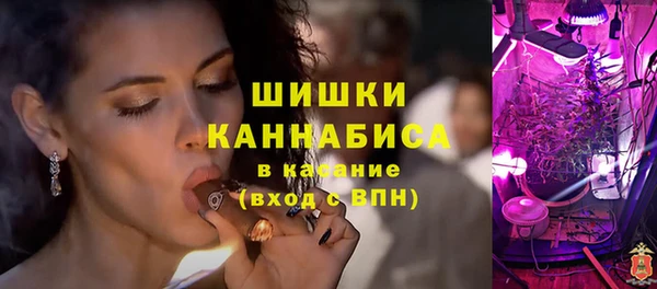 крисы Анжеро-Судженск