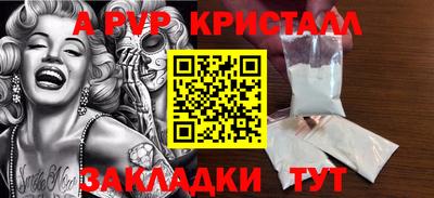 стаф Берёзовский