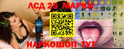 сатива Аргун