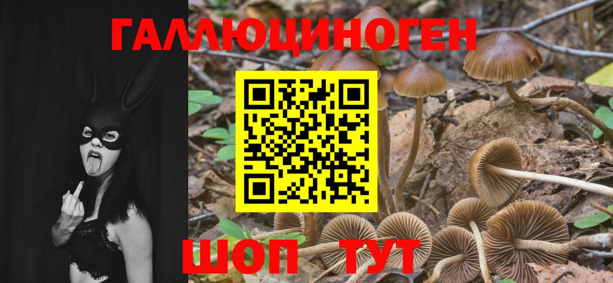 Галлюциногенные грибы GOLDEN TEACHER  Псилоцибиновые грибы Cubensis  Балахна 